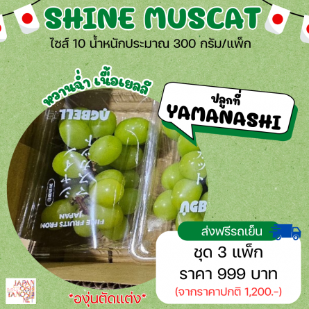 Grape shine muscat size 10 ชุด 3 แพ็ก (องุ่นตัดแต่ง)