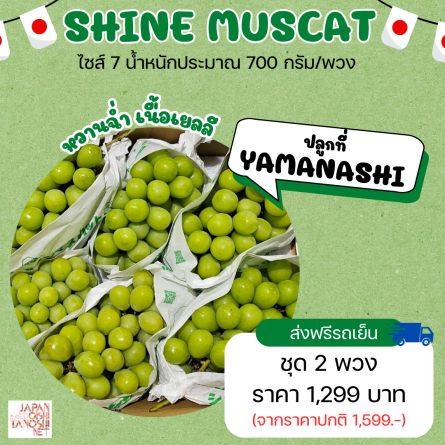 Grape shine muscat size 7 ชุด 2 พวง