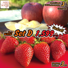 Japanese Fruit Set D