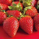Strawberry (Benihoppe)