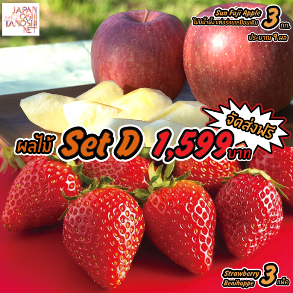 Japanese Fruit Set D