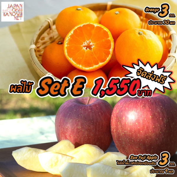 Japanese Fruit Set E