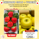 Yubeni 2 แพ็ก + Shinano gold 4 ผล