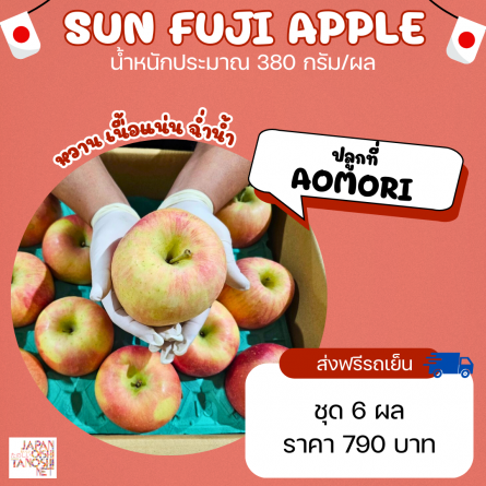 Apple Sun fuji size 26 ชุด 6 ผล