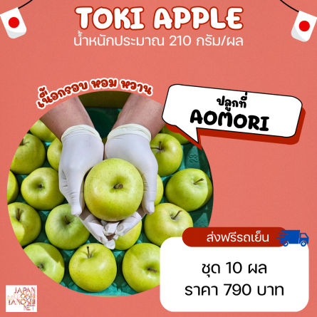 Apple Toki size 46 ชุด 10 ผล