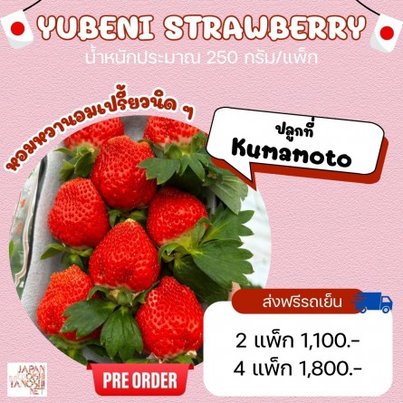 Yubeni Strawberry