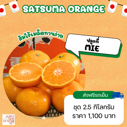 Orange satsuma ชุด 2.5 กิโลกรัม