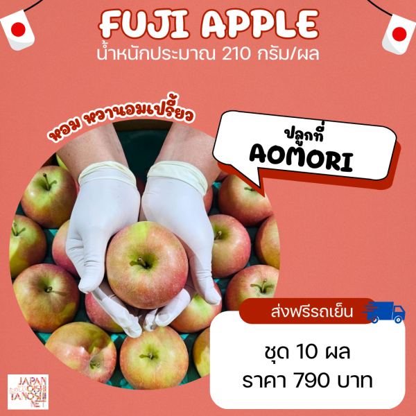 Apple Fuji size 46 ชุด 10 ผล