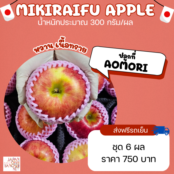 Apple Mikiraifu size L ชุด 6 ผล