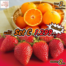 Japanese Fruit Set C