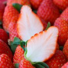 Strawberry TOCHIOTOME