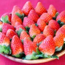 Strawberry TOCHIOTOME