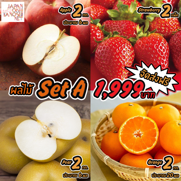 Japanese Fruit Set A