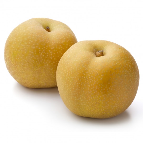 Japanese Pear (Niitaka)