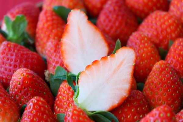 Strawberry TOCHIOTOME