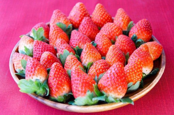 Strawberry TOCHIOTOME