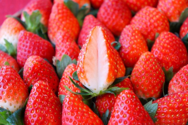 Strawberry TOCHIOTOME